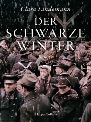 cover image of Der schwarze Winter